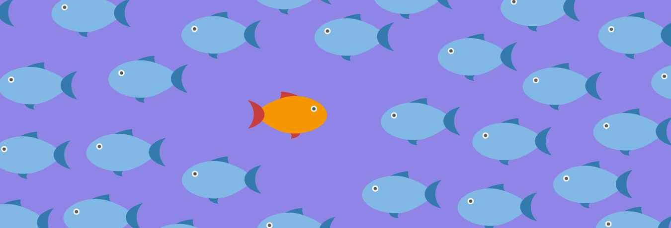 Agence conseil & communication digitale B2B