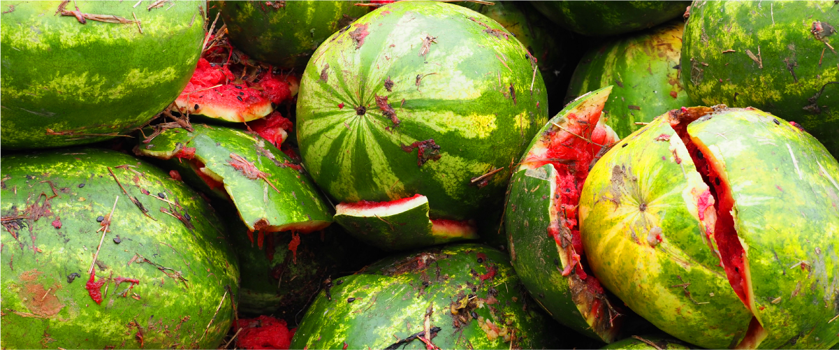 Agence conseil & communication digitale B2B